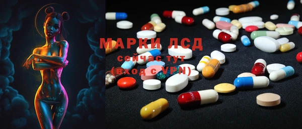 прущие грибы Касимов