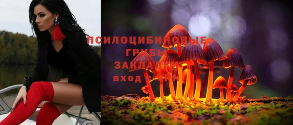 прущий лед Киреевск