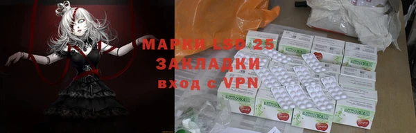 прущие грибы Касимов