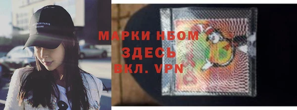 прущие грибы Касимов