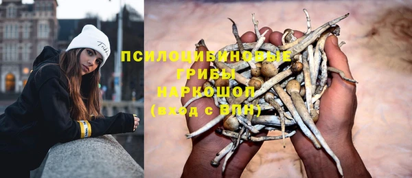 spice Карталы