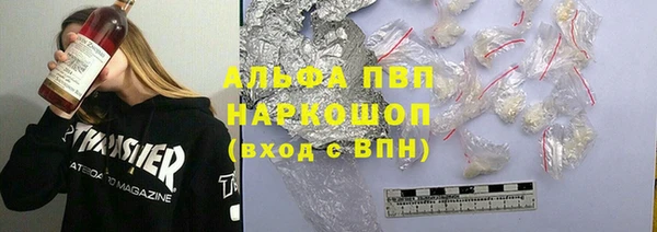 прущие грибы Касимов