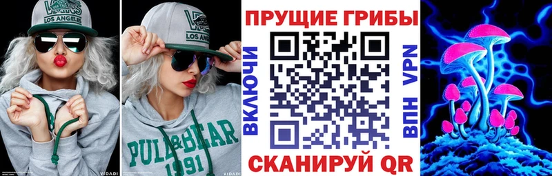 Псилоцибиновые грибы Cubensis  как найти наркотики  omg рабочий сайт  Константиновск 